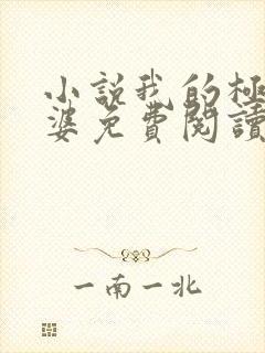 小说我的极品老婆免费阅读全文