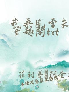 我乘风雪未删减笔趣阁txt