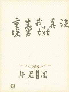 重生我真没想当暖男 txt