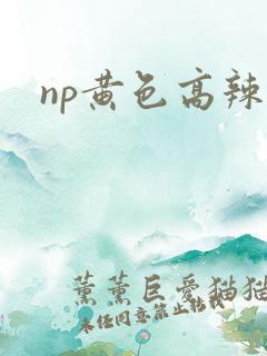 np黄色高辣文