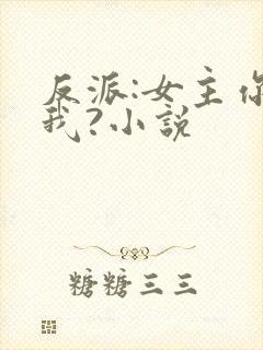反派:女主你搞我?小说