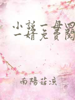 小说一母四女共一婿免费阅读
