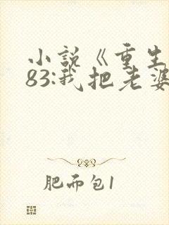 小说《重生1983:我把老婆宠成首富》