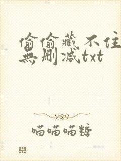 偷偷藏不住番外无删减txt