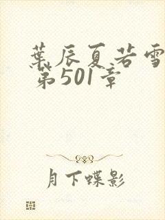 叶辰夏若雪孙怡 第501章