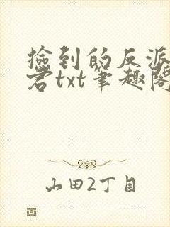捡到的反派成夫君txt笔趣阁