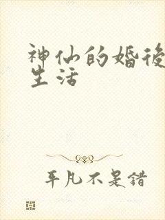 神仙的婚后都市生活