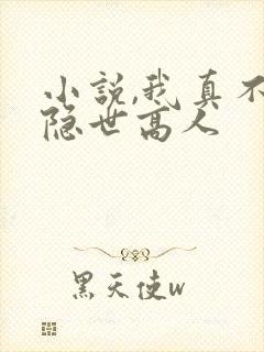 小说,我真不是隐世高人