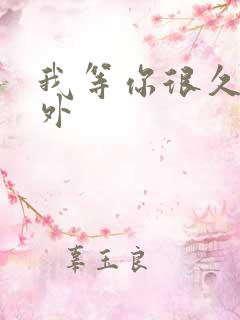 我等你很久了番外