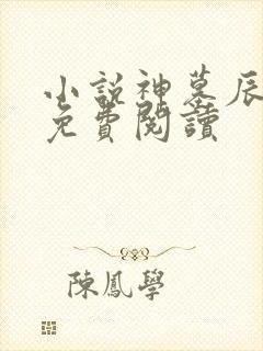 小说神墓辰东的免费阅读