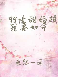 99亿甜婚顾少宠妻如命