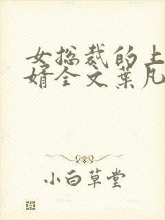 女总裁的上门女婿全文叶凡