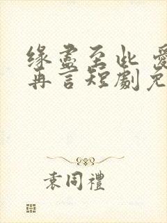 缘尽至此 爱不再言短剧免费观看全集