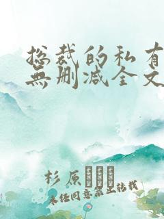 总裁的私有宝贝无删减全文免费