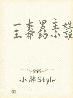 一本男主姓萧是王爷的小说