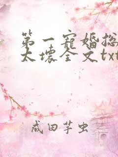 第一宠婚总裁别太坏全文txt