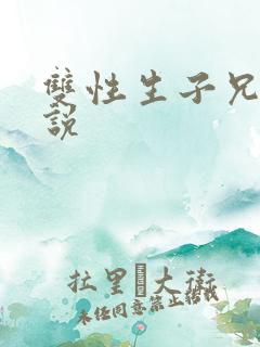 双性生子兄弟小说