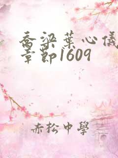 乔梁叶心仪最新章节1609