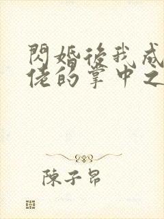 闪婚后我成了大佬的掌中之物免费版
