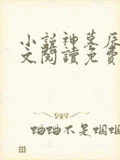 小说神墓辰东全文阅读免费