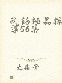 我的极品总裁老婆56集