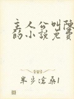 主人公叫陈天极的小说免费阅读