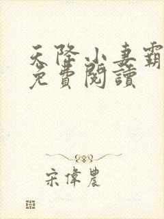 天降小妻霸道宠免费阅读