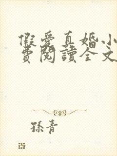 假爱真婚小说免费阅读全文