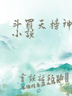 斗罗天榜神榜的小说