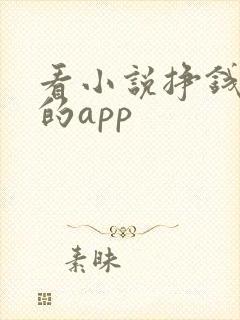 看小说挣钱最快的app