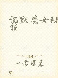 沉默魔女秘密小说
