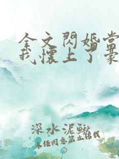 全文闪婚当天,我怀上了豪门继承人