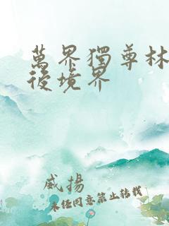 万界独尊林枫最后境界
