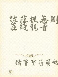 佐藤枫无删减版在线观看