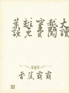 叶离穿越大魏小说免费阅读