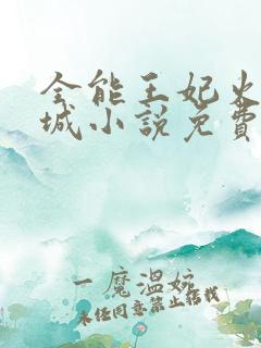 全能王妃火爆京城小说免费看