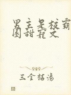男主是校霸的校园甜宠文