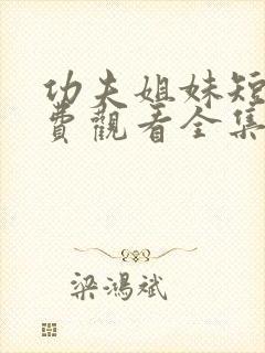 功夫姐妹短剧免费观看全集完整版