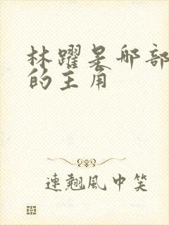 林跃是哪部小说的主角