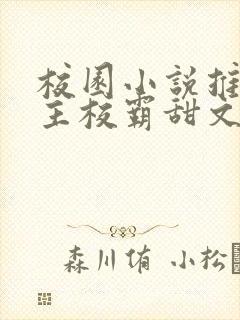 校园小说推荐男主校霸甜文