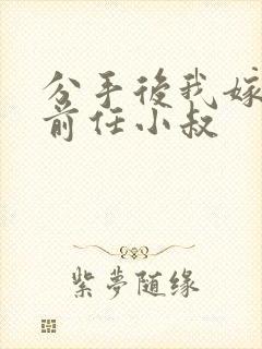 分手后我嫁给了前任小叔