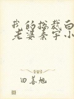 我的总裁白富美老婆秦宇小说完结版
