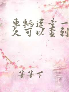 车辆违章一般多久可以查到