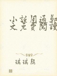 小说周通郑燕全文免费阅读无弹窗