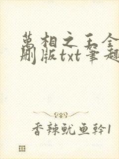 万相之王全本无删版txt笔趣阁