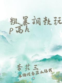 粗暴调教玩弄np高h