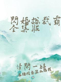 闪婚总裁霸道宠全集版