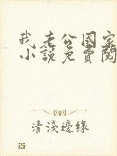 我老公国家发的小说免费阅读