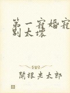 第一宠婚宠总裁别太坏