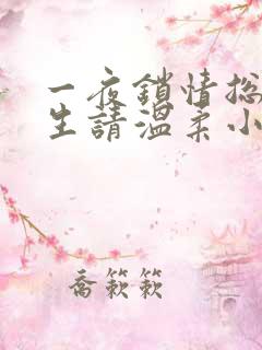 一夜锁情总裁先生请温柔小说全文免费阅读